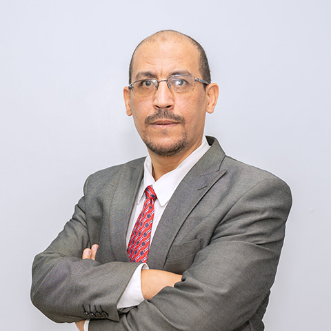 Hossam Kamel Swailam